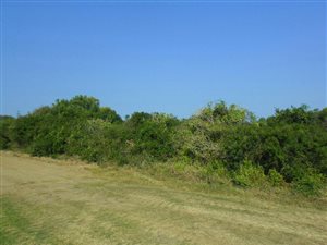 1071 m² Land available in Boknesstrand