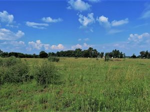 5 ha Farm in De Deur