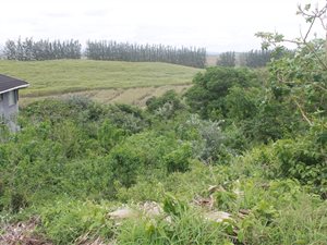 1012 m² Land available in Tinley Manor and surrounds