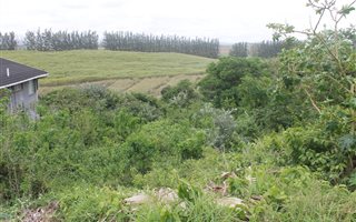 1012 m² Land available in Tinley Manor and surrounds