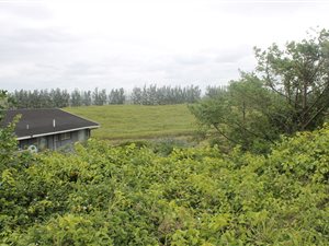 1012 m² Land available in Tinley Manor and surrounds