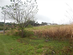 978 m² Land available in Kingsburgh