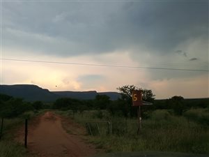 21 ha Farm in Koster