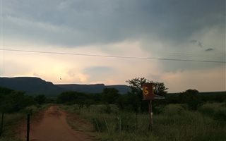 21 ha Farm in Koster