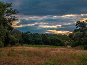 1.1 ha Land available in Hoedspruit