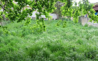 496 m² Land available in Grabouw