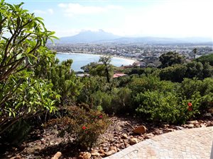 1 Bedroom Apartment in Mountainside