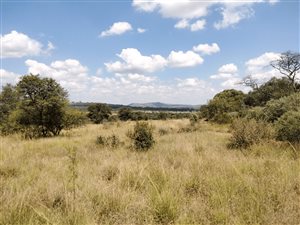 8.6 ha Farm in Hartbeespoort Dam
