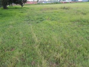 8590 m² Land available in Brakpan