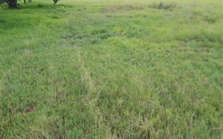 8590 m² Land available in Brakpan Central