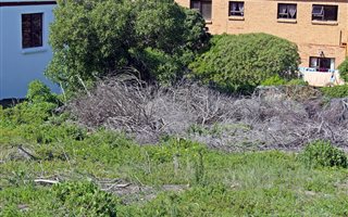590 m² Land available in Agulhas