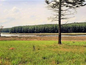 2680 m² Land available in Cramond