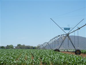 50 ha Farm in Weenen
