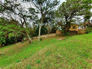 1316 m² Land available in Hibberdene
