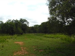 4.6 ha Land available in Kameeldrift East