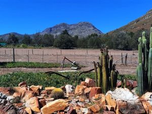 84 ha Farm in Oudtshoorn