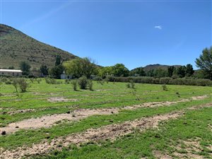 6245 m² Land available in Nieu Bethesda