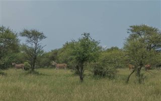 179.4 ha Farm in Mafikeng