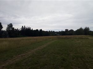 29 ha Farm in Crowthorne