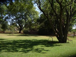 8 ha Farm in Kameeldrift East