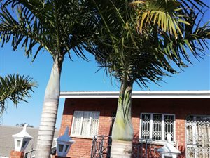 8 Bed House in Bayview