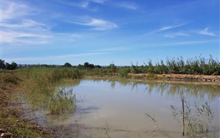 12.9 ha Farm in Addo