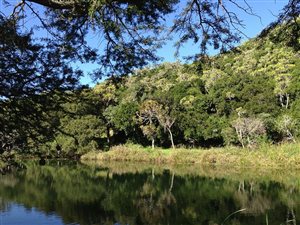 167 ha Farm in Port Alfred