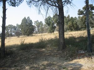 4.3 ha Land available in Bloemfontein Farms