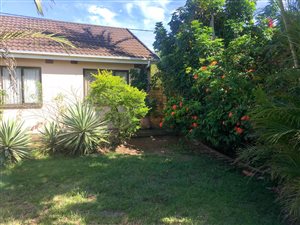 3 Bed House in Brackenham