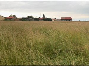 2439 m² Land available in Villa Liza