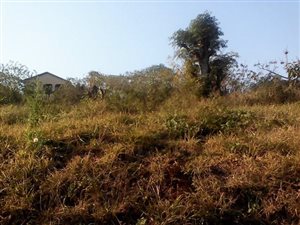 1029 m² Land available in Parlock