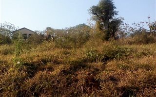 1029 m² Land available in Parlock
