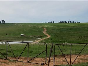1276 ha Farm in Harrismith