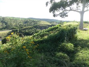 5 ha Farm with House in Sea Park