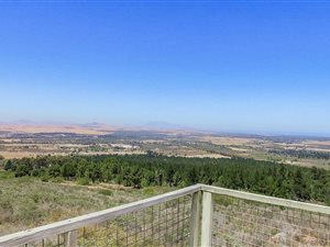21.6 ha Farm in Cape Farms
