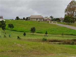 1253 m² Land available in Blanco