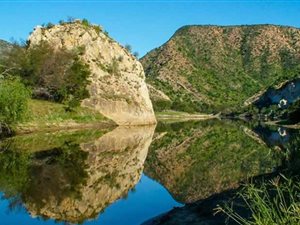 1 ha Farm in Willowmore
