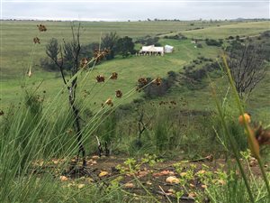 315 ha Farm in Hartenbos