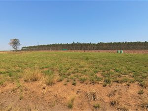 2700 m² Land available in Cramond