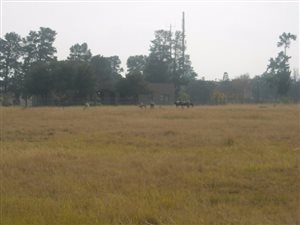 2535 m² Land available in Kibler Park