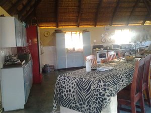 465 ha Farm in Mookgophong (Naboomspruit)