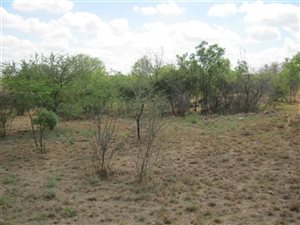 1200 m² Land available in Pebble Rock