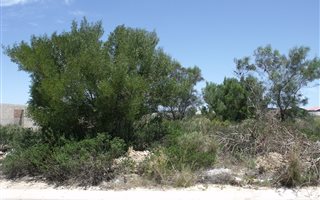 606 m² Land available in Parsons Vlei