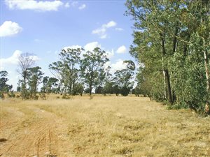 4.3 ha Land available in Bloemspruit
