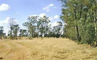 4.3 ha Land available in Bloemspruit