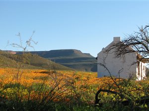 1351 ha Farm in Clanwilliam