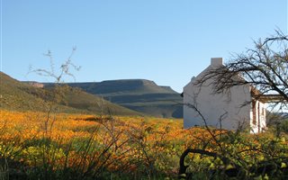 1351 ha Farm in Clanwilliam