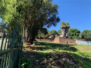 1825 m² Land available in Bedfordview