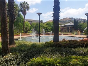 315 m² Office Space in Constantia Kloof