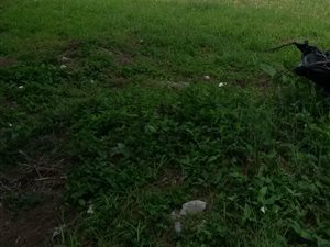 919 m² Land available in Meerensee